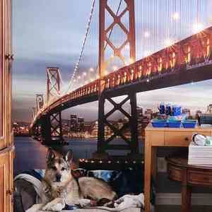 Meet your Posher, Kirk